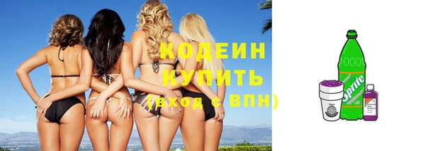 твердый Дмитров