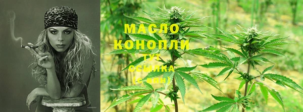 твердый Дмитров