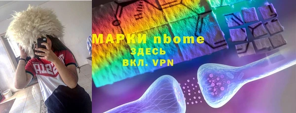 твердый Дмитров