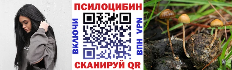 Псилоцибиновые грибы мухоморы Нюрба