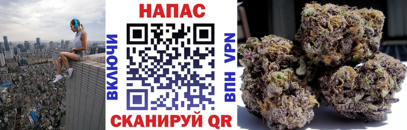 Марихуана гибрид  Нюрба 